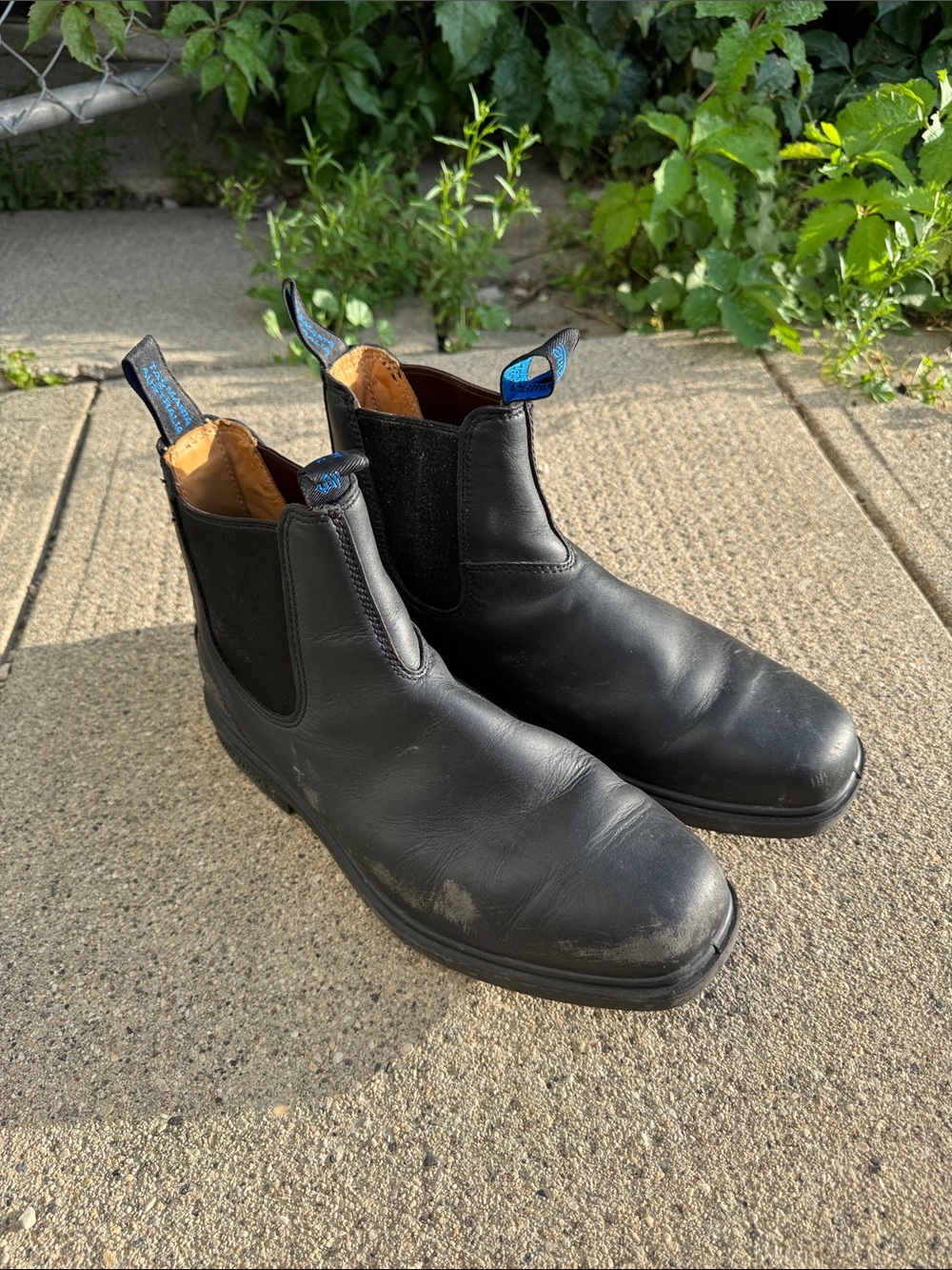 Blundstone #566 Winter Thermal in Black